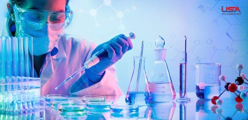 USA Visa Consultant
