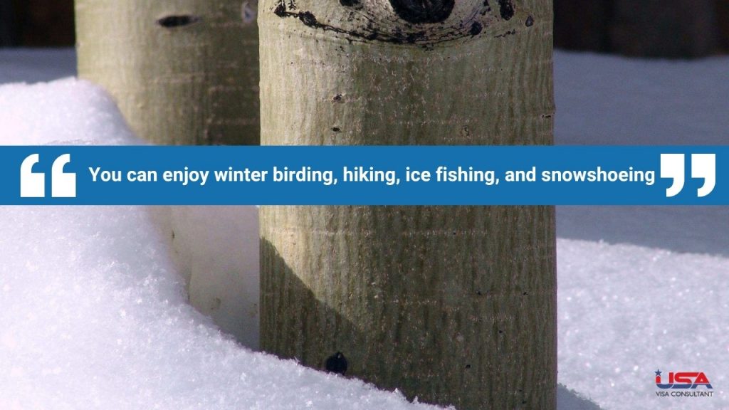 USA Visa Consultant - Aspen