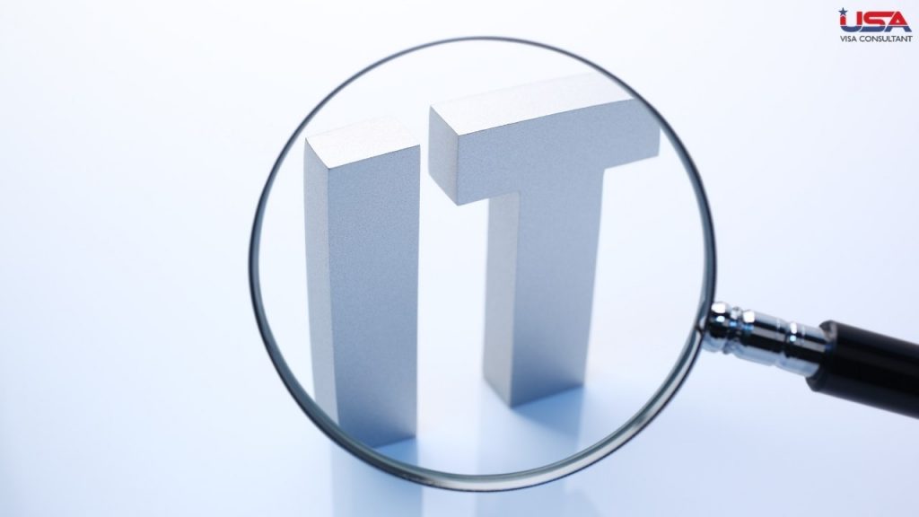 USA Visa Consultant - IT
