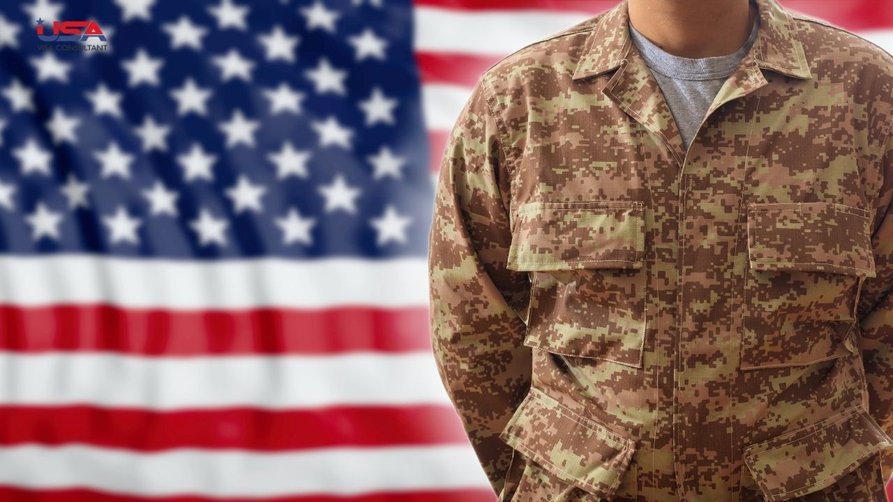 USA Visa Consultant 