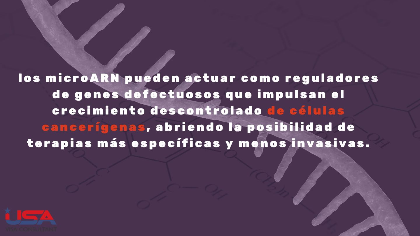 USA Visa Consultant microARN